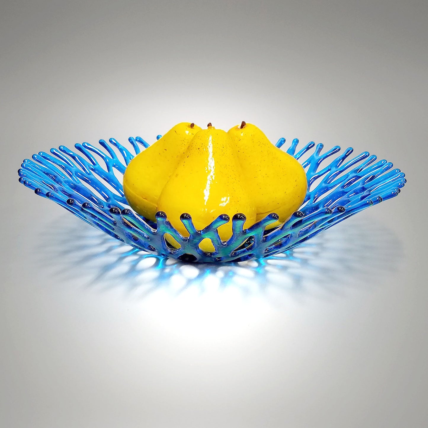 Fused Glass Art Coral Bowl in Turquoise Blue